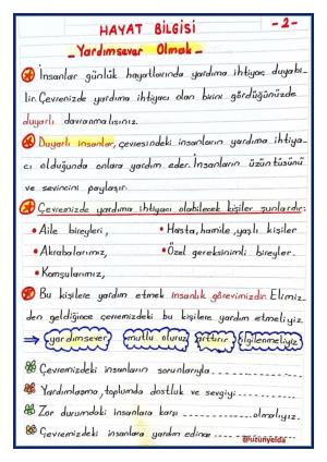  2. Sınıf 13. Hafta Etkinlikleri