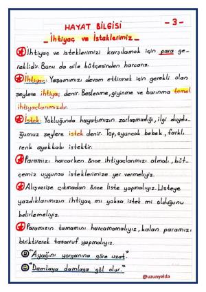  2. Sınıf 14. Hafta Etkinlikleri