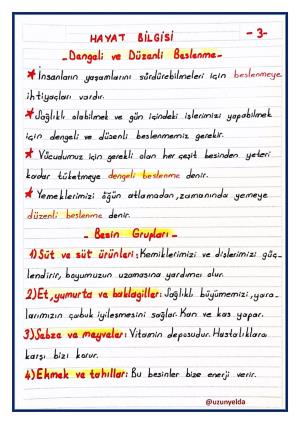  2. Sınıf 15. Hafta Etkinlikleri