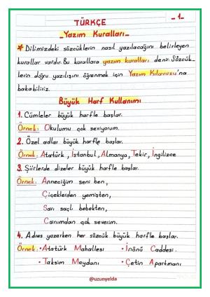  2. Sınıf 15. Hafta Etkinlikleri