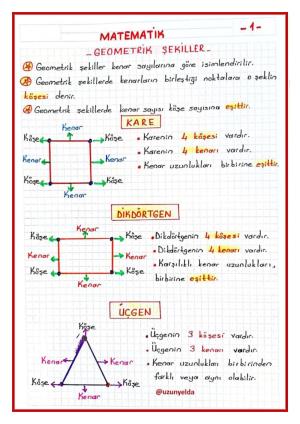  2. Sınıf 17. Hafta Etkinlikleri