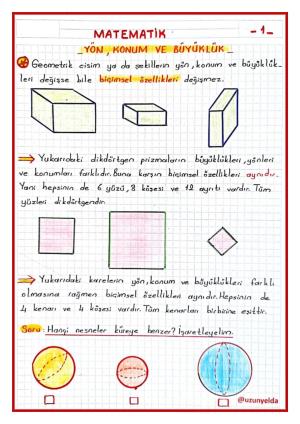  2. Sınıf 19. Hafta Etkinlikleri