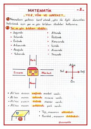  2. Sınıf 19. Hafta Etkinlikleri