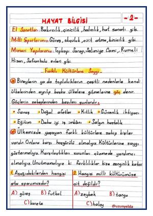  2. Sınıf 29. Hafta Etkinlikleri