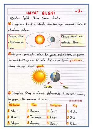  2. Sınıf 36. Hafta Etkinlikleri