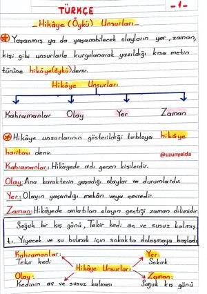 2. Sınıf 23. Hafta Etkinlikleri