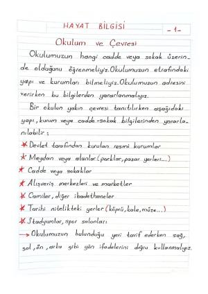 2. Sınıf 4. Hafta Etkinlikleri