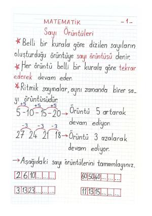 2. Sınıf 4. Hafta Etkinlikleri