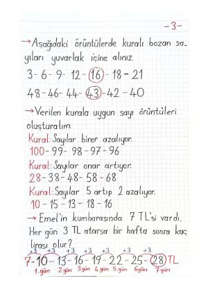 2. Sınıf 4. Hafta Etkinlikleri