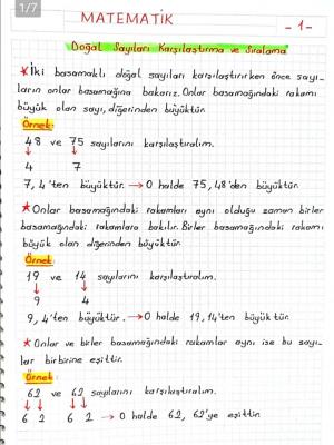 2. Sınıf 5. Hafta Etkinlikleri