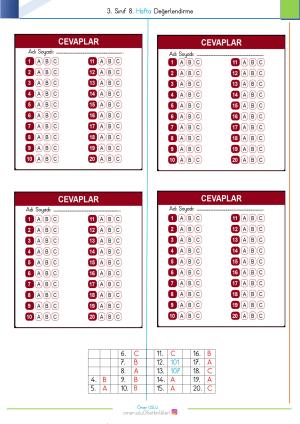 3rd Grade 8th Week Evaluation Exam