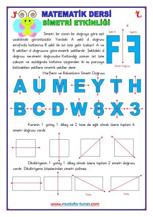 Simetri Etkinliği-8