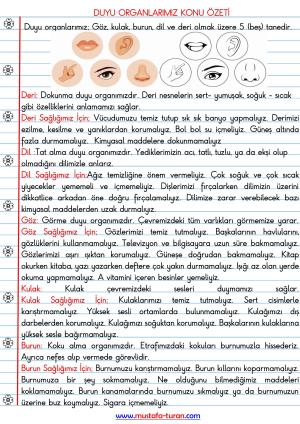 Duyu Organlarımız Konu Özeti 