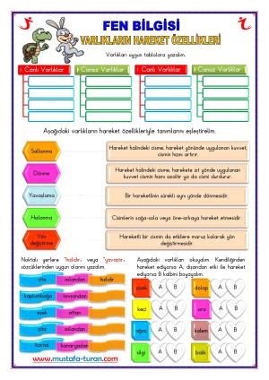 Hareket ve Varlıkların Hareket Özellikleri Etkinliği-2