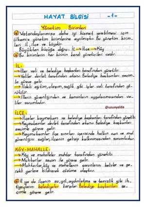 Actividades de la semana 24 de 3er grado