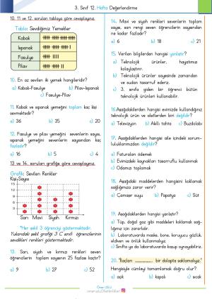 3. Sınıf 12. Hafta Değerlendirme Sınavı