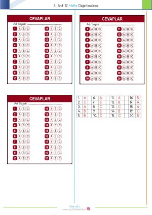 3. Sınıf 12. Hafta Değerlendirme Sınavı