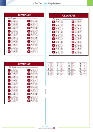 3. Sınıf 24. Hafta Değerlendirme Sınavı