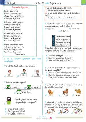 3. Sınıf 25. Hafta Değerlendirme Sınavı