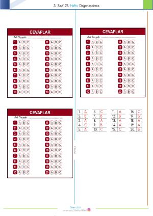 3. Sınıf 25. Hafta Değerlendirme Sınavı