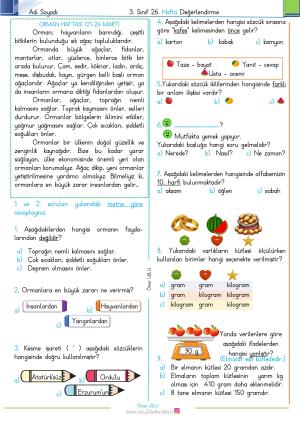 3. Sınıf 26. Hafta Değerlendirme Sınavı