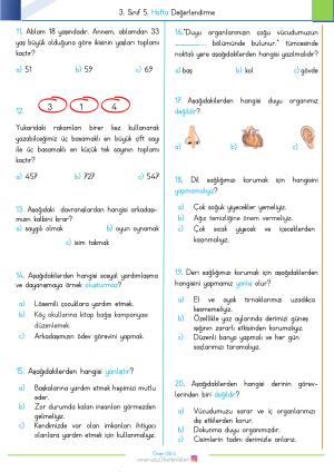 3rd Grade 5th Week Evaluation Exam