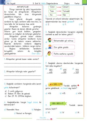 3rd Grade 6th Week Evaluation Exam