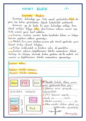 3. Sınıf 11. Hafta Etkinlikleri