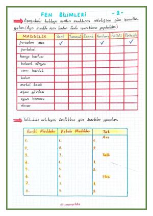 3. Sınıf 12. Hafta Etkinlikleri