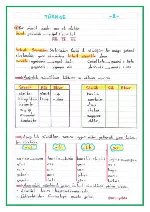 3. Sınıf 15. Hafta Etkinlikleri