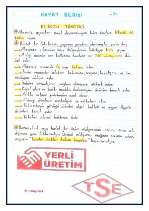 3. Sınıf 16. Hafta Etkinlikleri