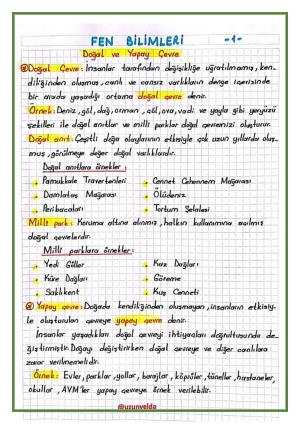 3. Sınıf 26. Hafta Etkinlikleri