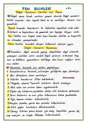 3. Sınıf 27. Hafta Etkinlikleri