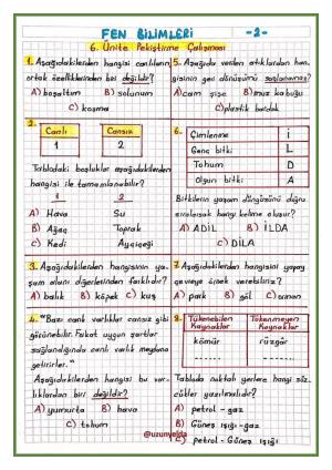 3. Sınıf 28. Hafta Etkinlikleri