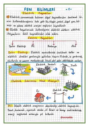 3. Sınıf 30. Hafta Etkinlikleri