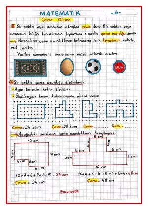 3. Sınıf 31. Hafta Etkinlikleri