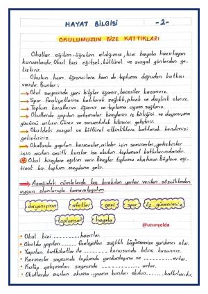 3. Sınıf 4. Hafta Etkinlikleri