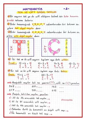 3. Sınıf 4. Hafta Etkinlikleri