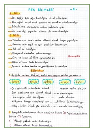 3. Sınıf 5. Hafta Etkinlikleri