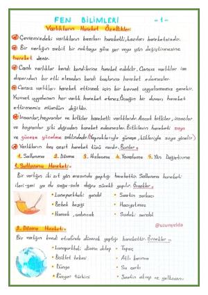 3. Sınıf 6. Hafta Etkinlikleri