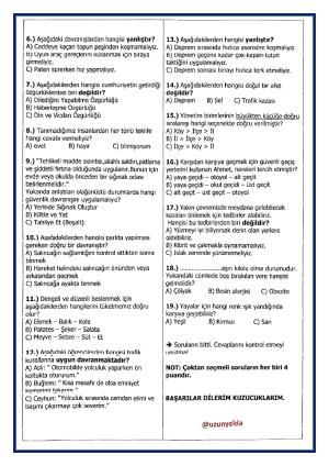 3. Sınıf Matematik ve Hayat Bilgisi Değerlendirme Soruları