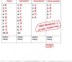 4. Sınıf Mini Dene Sınavı -1