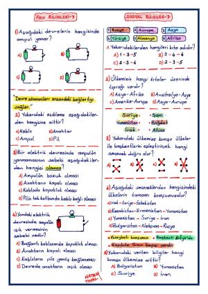 4. Sınıf Mini Dene Sınavı -7