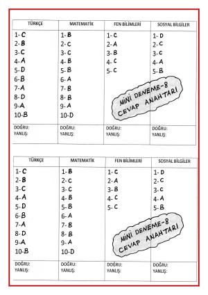 4. Sınıf Mini Dene Sınavı -8