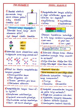 4. Sınıf Mini Dene Sınavı -8