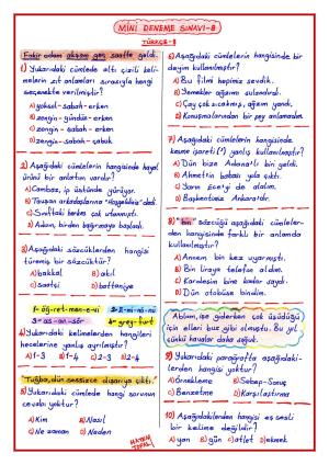 4. Sınıf Mini Dene Sınavı -8