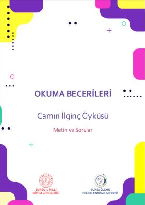 4. Sınıf Okuma Becerileri Metin ve Soruları