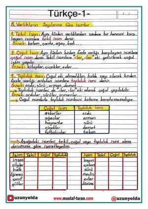 4. Sınıf 12. Hafta Etkinlikleri