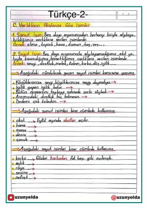 4. Sınıf 12. Hafta Etkinlikleri