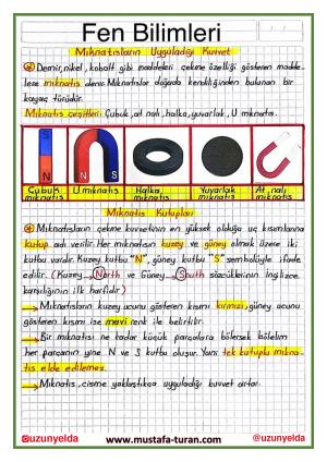 4. Sınıf 14. Hafta Etkinlikleri